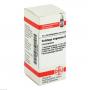 SOLIDAGO VIRGAUREA D 1 Globuli