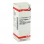SOLIDAGO VIRGAUREA D 6 Dilution