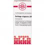 SOLIDAGO VIRGAUREA LM XXX Globuli