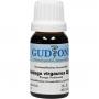 SOLIDAGO VIRGAUREA Q 24 Lösung