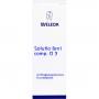 SOLUTIO FERRI comp.D 3 Dilution