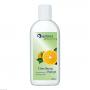 SPITZNER Massage Einreibung Orange