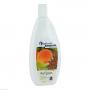 SPITZNER Saunaaufguss Anis Orange Wellness