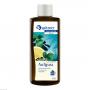 SPITZNER Saunaaufguss Citrus Mint Wellness