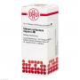 STIBIUM SULFURATUM NIGRUM LM I Dilution Ind.Fert.