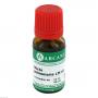 STICTA PULMONARIA LM 6 Dilution