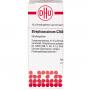 STREPTOCOCCINUM C 200 Globuli