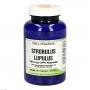 STROBULUS Lupulus 125 mg GPH Kapseln