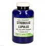 STROBULUS Lupulus 125 mg GPH Kapseln