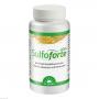 SULFOFORTE plus Dr.Jacob's Kapseln