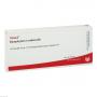 SYMPHYTUM E radice D 6 Ampullen