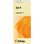 SYNERGON KOMPLEX 11 Apis N Tropfen