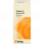 SYNERGON KOMPLEX 83 Cyclamen S Tropfen