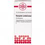 SYZYGIUM JAMBOLANUM C 30 Globuli