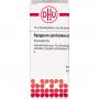 SYZYGIUM JAMBOLANUM D 12 Globuli