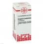 SYZYGIUM JAMBOLANUM D 3 Globuli