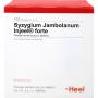 SYZYGIUM JAMBOLANUM INJEEL forte Ampullen