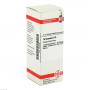 TARAXACUM D 6 Dilution