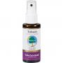 TEEBAUM FUSSSPRAY