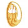 TICK Twister 3 Zeckenhaken mit ClipBox orange