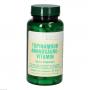 TOPINAMBUR AMINOSÄURE Vitamin Bios Kapseln