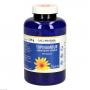TOPINAMBUR AMINOSÄURE Vitamine GPH Kapseln