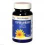 TOPINAMBUR P 400 mg GPH Kapseln