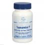 TOPINAMBUR P 400 mg Junek Kapseln