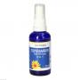 TOPINAMBUR PLUS Spray