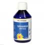 TOPINAMBUR SIRUP