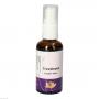 TRAVELEASE Spray Mischung austral.Living Essenzen