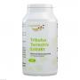 TRIBULUS TERRESTRIS EXTRAKT 500 mg Kapseln