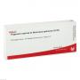 TRIGONUM vesicae et Musculus sphincter GL D 8 Amp.