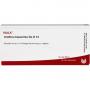 URETHRA masculina GL D 12 Ampullen