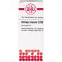 USTILAGO MAYDIS C 200 Globuli
