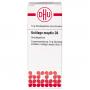 USTILAGO MAYDIS C 6 Globuli Ind.Fert.
