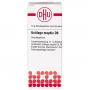 USTILAGO MAYDIS D 6 Globuli Ind.Fert.