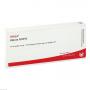 UTERUS GL D 10 Ampullen