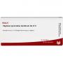VAGINAE synoviales tendinum GL D 5 Ampullen