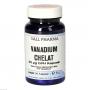 VANADIUM CHELAT 25 μg GPH Kapseln