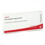 VENA SAPHENA magna GL D 15 Ampullen