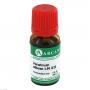 VERATRUM ALBUM LM 12 Dilution