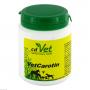 VETCAROTIN vet.