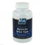 VIAVITAMINE Mexican wild Yam Kapseln