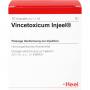 VINCETOXICUM INJEEL Ampullen