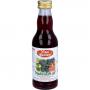VITAGARTEN roter Traubensaft+Eisen Einwegflasche