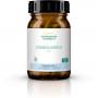 VITAMIN B KOMPLEX aktiv Kapseln