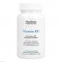 VITAMIN B12 BIOAKTIV+Folsäure vegan Kapseln