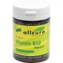 VITAMIN B12 KAPSELN