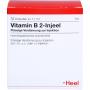 VITAMIN B2 INJEEL Ampullen